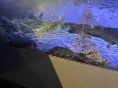 -常州海昌海洋探索馆