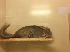 -龙猫仔乐园(惠福东路店)