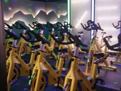 -金吉鸟健身游泳