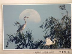 -解放人民公园