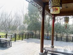 -合肥滨湖国家森林公园