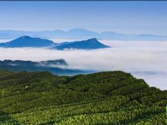 -蜀南竹海景区