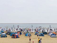 -碧海金沙