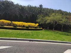 -棒棰岛宾馆景区
