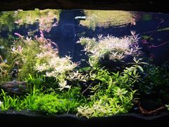 -上海海洋水族馆