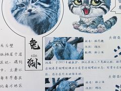 -青藏高原野生动物园