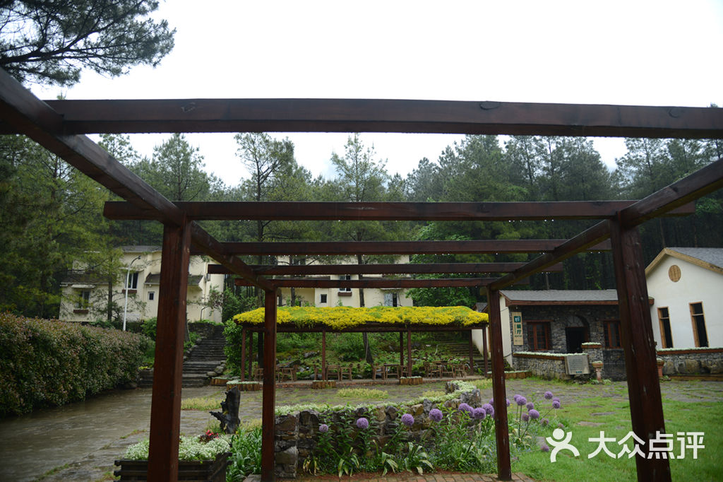 重庆市大木花谷图片 - 第11张