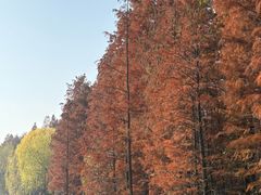 -云龙湖旅游景区