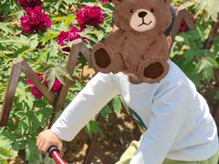 -羊亭河湿地公园