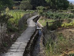 -塔川景区