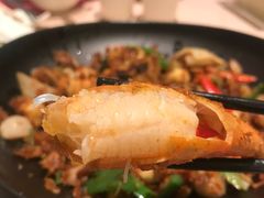 -新陶陶酒家
