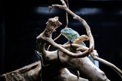 -Zoolung Zoolung动物主题公园(海信广场店)