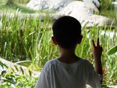 -新加坡飞禽公园