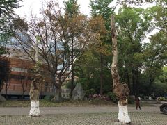 -四川大学(望江校区)
