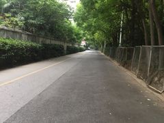 -七宝中学游泳馆