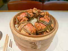-杨氏青龙虾·羊蝎子(金盛路总店)