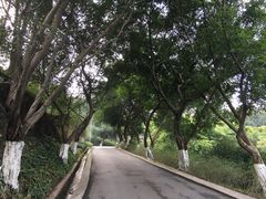 -翠屏公园