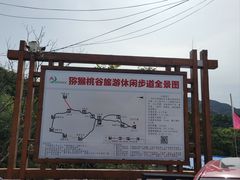 -大岭沟猕猴桃谷风景区