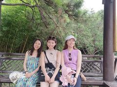 -红楼梦邮局