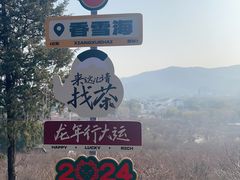 -香雪海