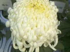 android_upload_pic-迎泽公园