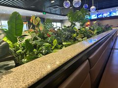 -daozao料理美术馆(东营店)