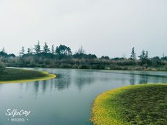 -桤木河湿地公园