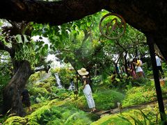 -Chom Cafe and Restaurant