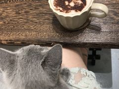 -猫友咖啡店(玉林西路店)