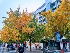 -螺小胖柳州螺蛳粉(钟楼总店)