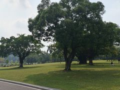 -东莞植物园