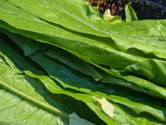 -洞庭洲·防空洞火锅·铜锅涮肉·烧烤(新百广场店)