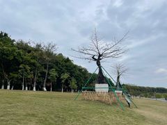 -东莞植物园