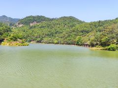 -广州白江湖森林公园