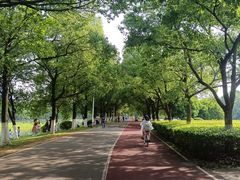 -艾溪湖湿地公园