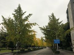 -四川大学(望江校区)