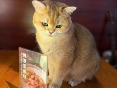 -咖法森林·咖啡  酒吧(天河店)