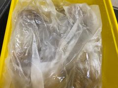 -百利鸽王(紫薇路店)