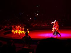 -珠海横琴长隆《卡卡虎奇遇记》