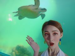 -广东惠东海龟国家级自然保护区