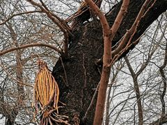 -北京西山国家森林公园