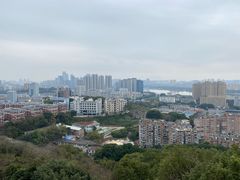 -福道