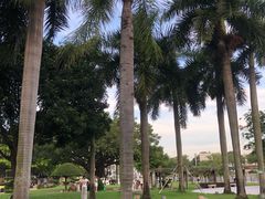 -石炮台公园