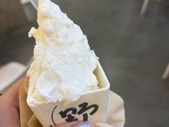 -野人先生Gelato(上海长宁龙之梦店)