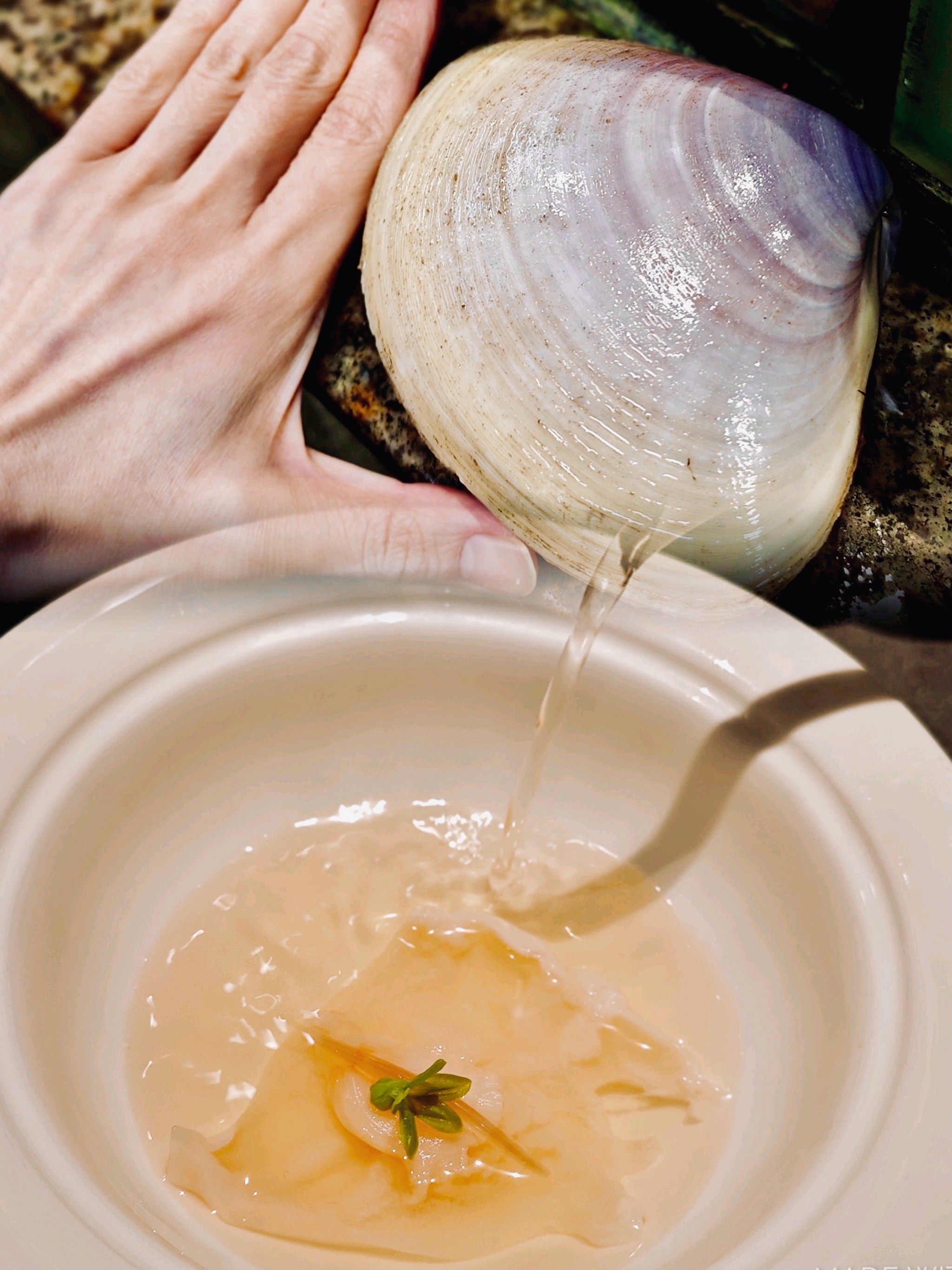 这道"贵妃汤"与佛跳墙齐名💎还自带防伪标识