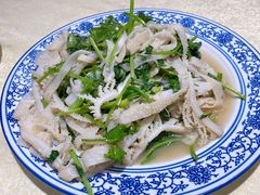 -新侨小馆(东直门北小街店)