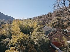 -潭柘寺景区