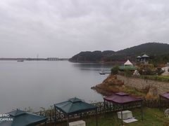 -望湖烤鱼