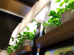 -肯德基(新市百店)