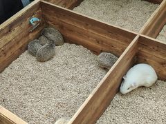 -浙江农林大学(东湖校区)